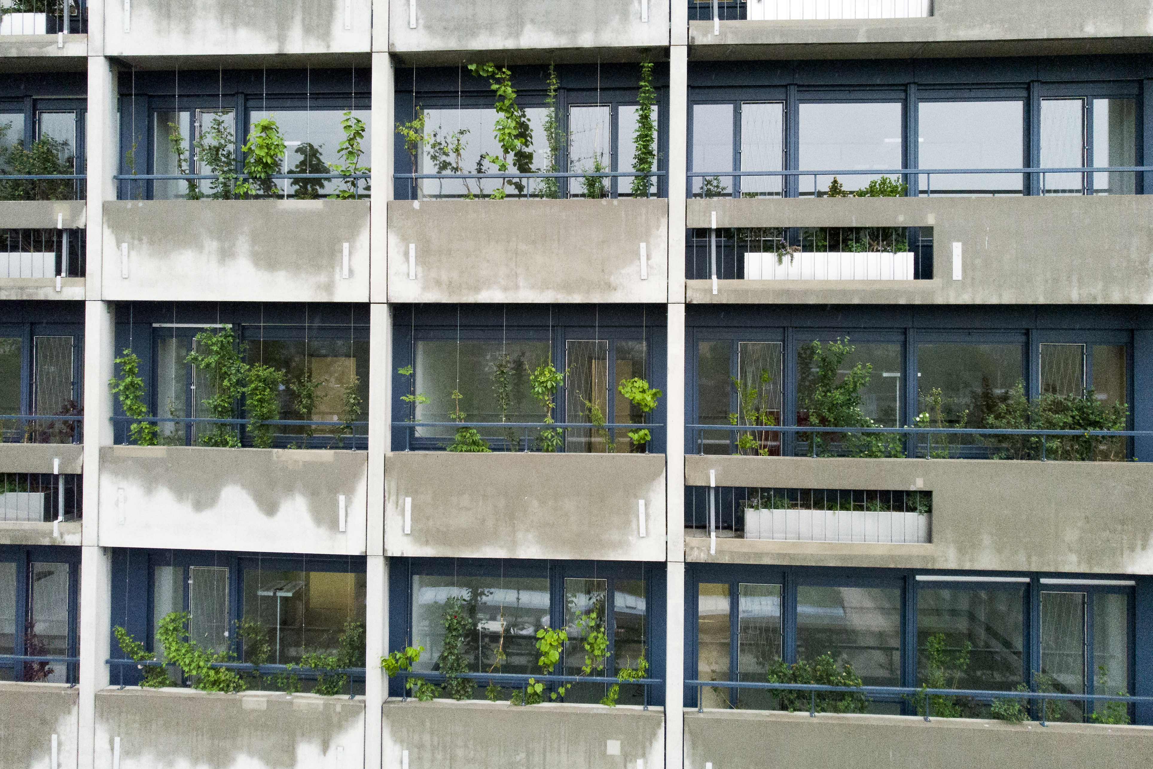 Bepflanzte Balkonfassade am Stadtspital Zürich Triemli.